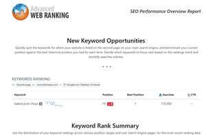 Advanced Web Ranking screenshot 2