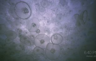 Aerial Views screensaver screenshot 3