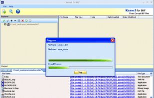 Kernel for BKF Repair screenshot 2