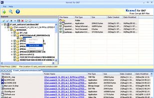 Kernel for BKF Repair screenshot 3