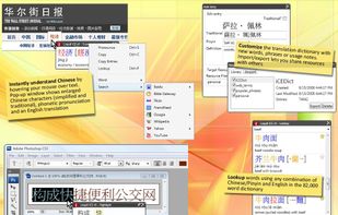 Loqu8 iCE dictionary lookup, web search and pronunciation