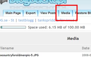 Blogbackupr screenshot 1