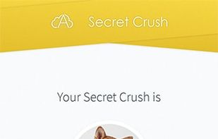 Affinitweet screenshot 1