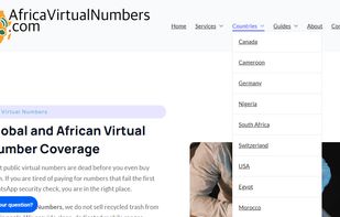 Africa Virtual Numbers screenshot 1