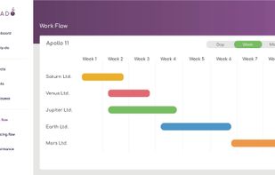 Workflow (Gantt chosen)
