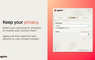 The privacy-first AI model configuration screen where users can securely input their own API keys (BYOK) for direct provider connection
