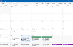 Month view with recurring events, multi-day events and "+N more" for busy days.