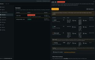 Domain setup and DNS verification