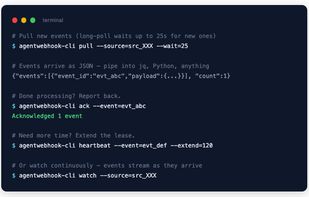CLI Terminal to Pull Payloads