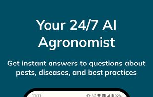 AI Chat. Your 24/7 AI agronomist. Get instant answers to questions about pests, diseases, and best practices.