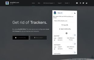 Homepage at https://ahadns.com