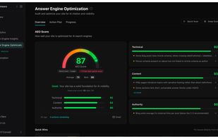 AEO audit results - score + prioritized checklist