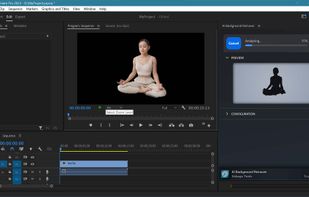Background Removal without greenscreen in Premiere Pro