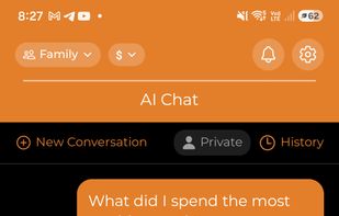 AI Budget Assistant screenshot 1