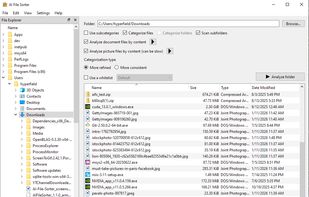 Main window - Windows