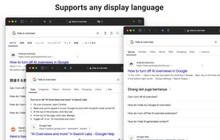 AI Overview Hider for Google screenshot 1