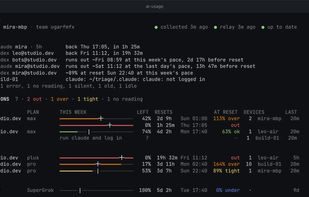 Terminal report with the attention list and forecasts to the reset (demo data)
