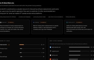 AI Visibility Report Example 3