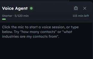 Voice Agent