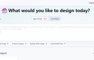 Console for agent mode