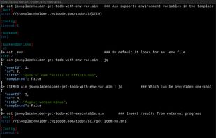 Screenshot displaying ain using environment variables and output from executables