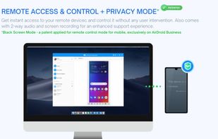 Mobile remote access and control