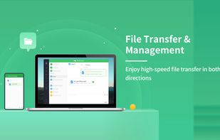 File transfer & management