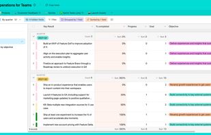 Product ops for teams example - sorted grid view