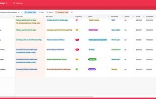Product roadmap example - grid view