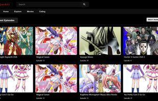 Ajarani screenshot 1