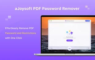 ajoysoft pdf password remover