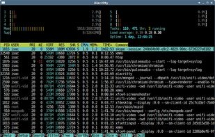 Alacritty screenshot 1