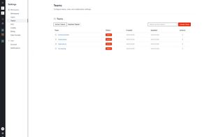 Team governance controls.