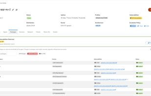 vulnerability management, package scanning