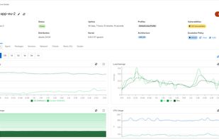 Agent based servers monitoring