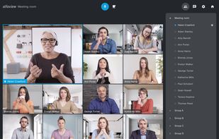 alfaview screenshot 2