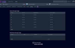 Version storage management