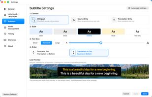 Customizable subtitle appearance, typography, background opacity, and layout styles.