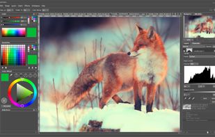 AliveColors screenshot 1