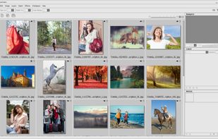 AliveColors screenshot 2