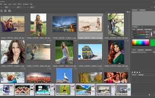 AliveColors screenshot 1