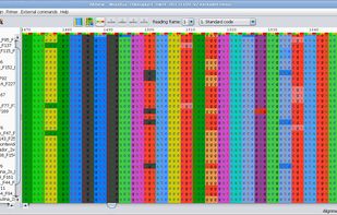 View nucleotides colored as translated Amino Acids