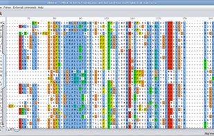 ClustalX consensus color scheme