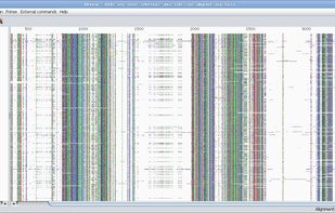 Unlimited mouse wheel zoom in/out to see whole alignment