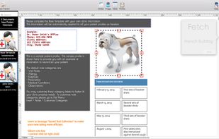 All My Patients - Vet Edition screenshot 1