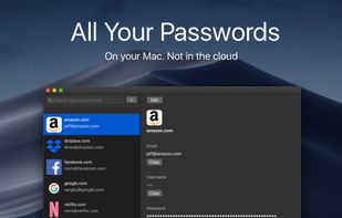 All Your Passwords screenshot 1