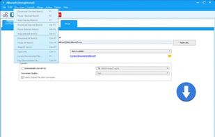 Allavsoft screenshot 3