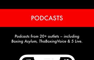 AllTheBelts screenshot 2