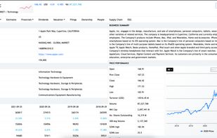 Fundamental company data