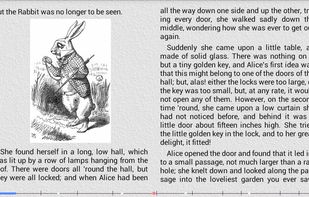 AlReader screenshot 1